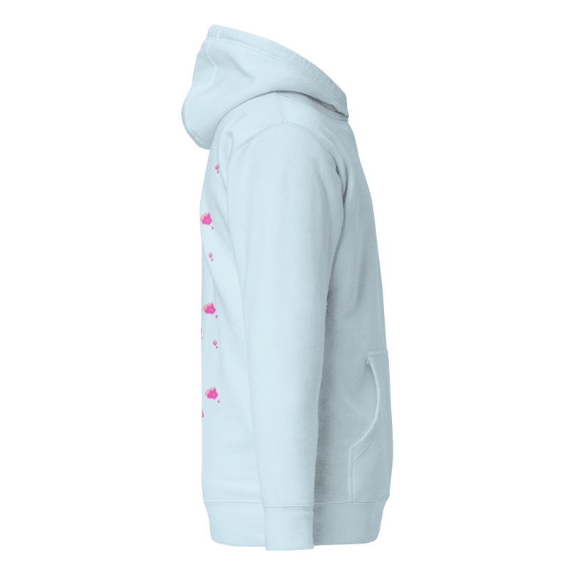 CHASING DREAMS ''pink clouds'' hoodie