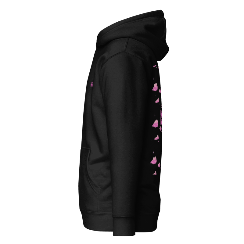 CHASING DREAMS ''pink clouds'' hoodie
