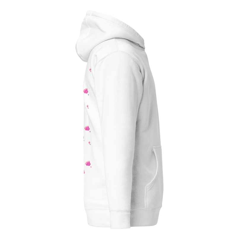 CHASING DREAMS ''pink clouds'' hoodie