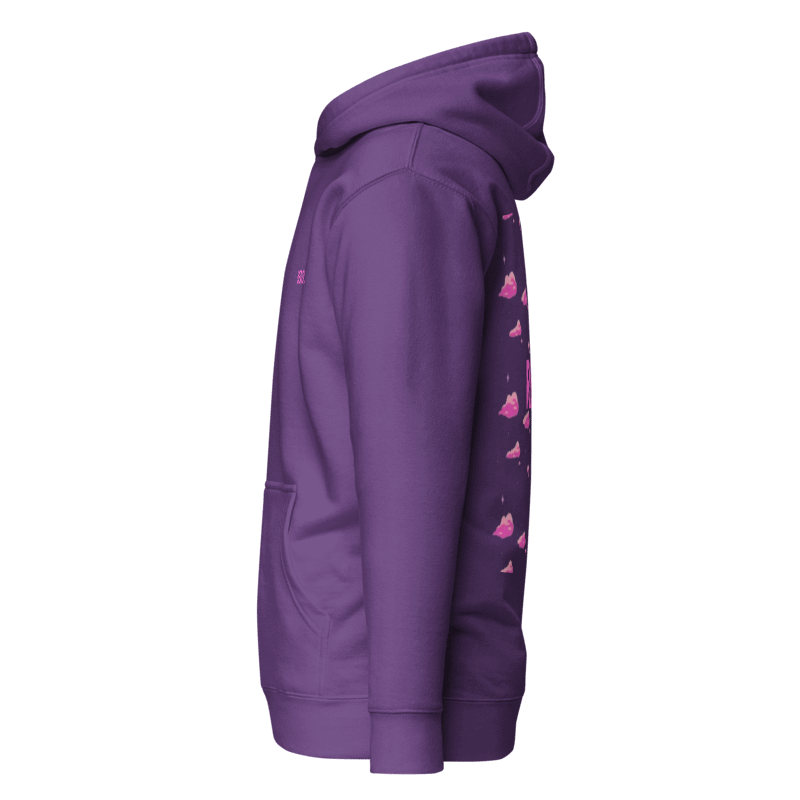 CHASING DREAMS ''pink clouds'' hoodie