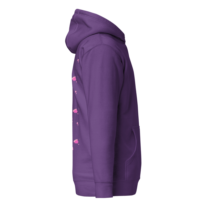 CHASING DREAMS ''pink clouds'' hoodie