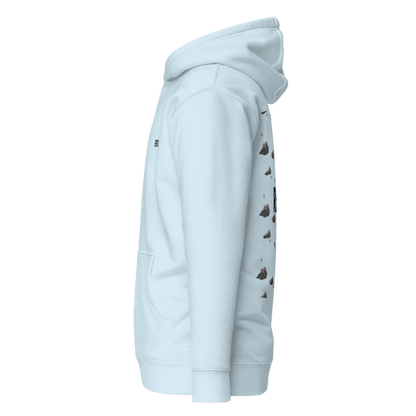 CHASING DREAMS ''black clouds'' hoodie