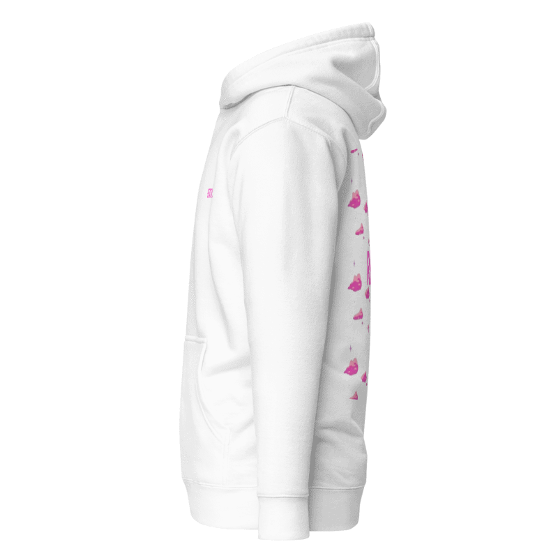CHASING DREAMS ''pink clouds'' hoodie