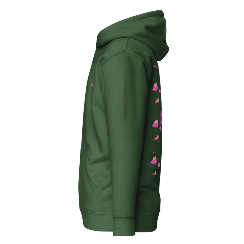 CHASING DREAMS ''pink clouds'' hoodie