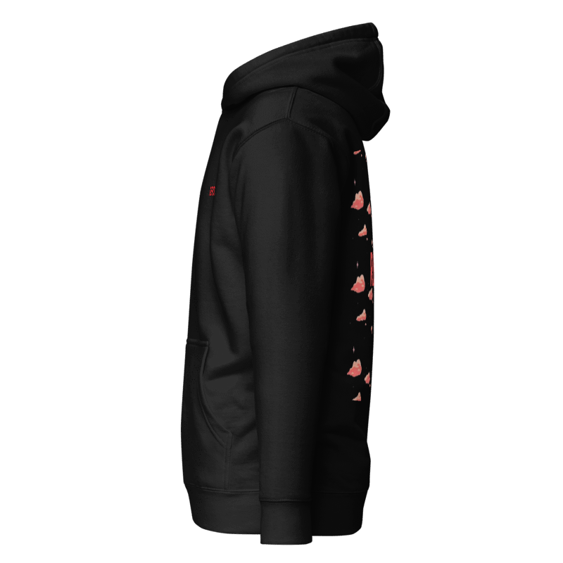 CHASING DREAMS ''red clouds'' hoodie