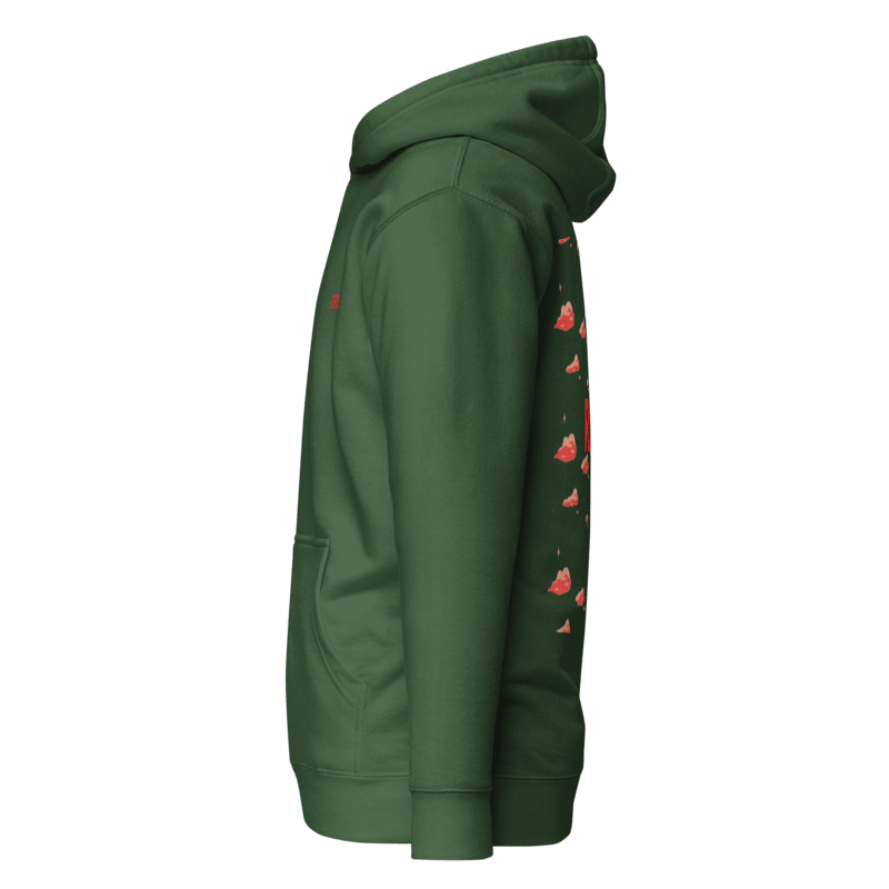 CHASING DREAMS ''red clouds'' hoodie