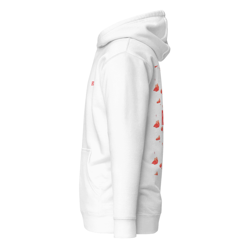 CHASING DREAMS ''red clouds'' hoodie